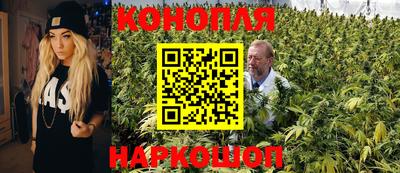 a pvp Пушкино